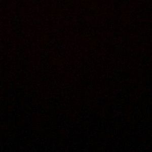 Meet your Posher, Will